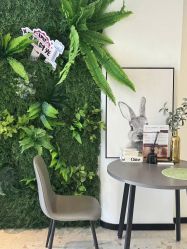 -B-BEAUTY童颜皮肤管理中心