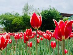 -长春公园(普阳街道)