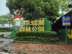 -天鹿湖森林公园