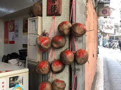 -洪馨椰子