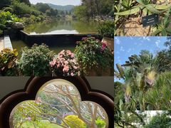 -深圳仙湖植物园