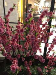 -简影造型·自选烫染接发salon