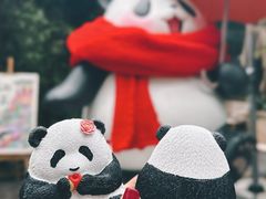 -轩客会(熊猫书店)