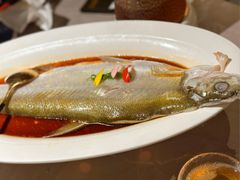 -醉庐·新上海菜(南京西路店)