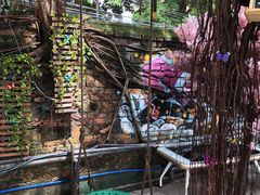 -柴犬高等学院·狗咖·柴犬售卖·宠物训练