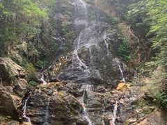 -江西阳明山国家森林公园