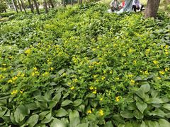 -黑龙江省森林植物园