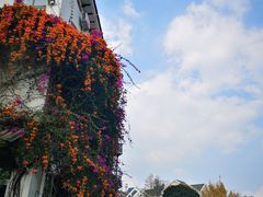 -怡得观滇餐厅·地道昆明菜·1996(海埂大坝店)