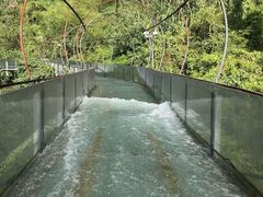 -长沙黑麋峰国家森林公园