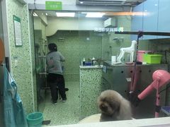 -瑞鹏·疫苗·绝育·宠物医院(金沙洲店)