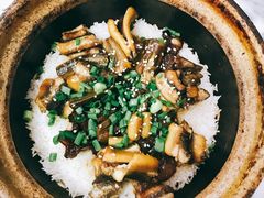 -红星光发煲仔饭(大石街店)