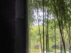 -和顺柏联温泉