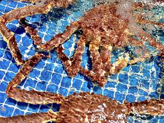 -三亚火车头万人海鲜广场