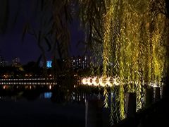 -迎泽公园