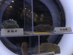 -上海儿童博物馆