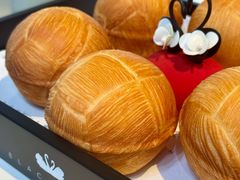 -BLACKSWAN黑天鹅(环球店)