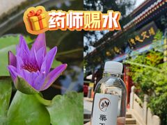 -天津市峰山药王古寺