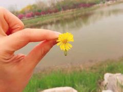 -水西公园