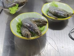 -铭记蛙小仙·活蛙畅享(CBD万达广场店)