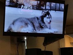 -TrueLove @ Neverland (Husky Cafe)