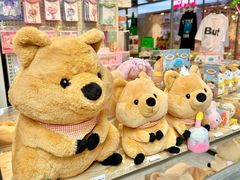 -南京时尚莱迪购物广场(正洪街店)