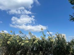 -九间堂珑悦·湖畔餐厅