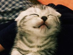 -星巴克(蒲汇塘路店)