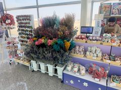 -南昌昌北国际机场