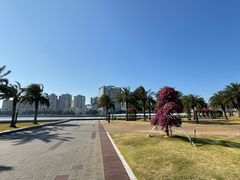-野狸岛