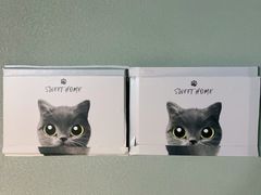 -梵猫·新养生(湛江鼎盛店)