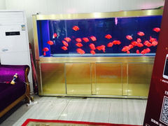 -豪爵台球棋牌·桌游俱乐部(康乐道店)