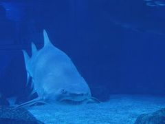 -海合安成都极地海洋公园