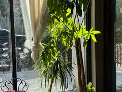 -谭记旺品(小谭山店)