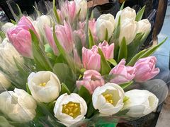 -循礼门鲜花花市(武汉循礼门店)