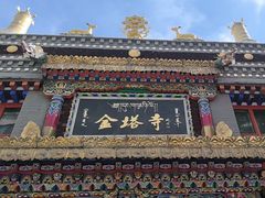 -金塔寺