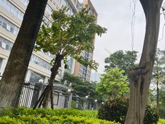 -厦门医学院附属口腔医院(蔡塘院区)