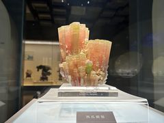 -安徽省地质博物馆