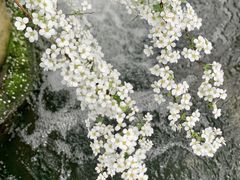 -中国茶叶博物馆(双峰馆区)