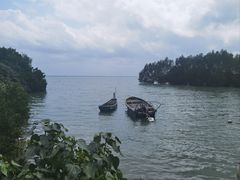 -东寨港红树林旅游区