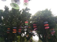-珠海圆明新园