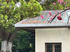 -桃花岛景观公园