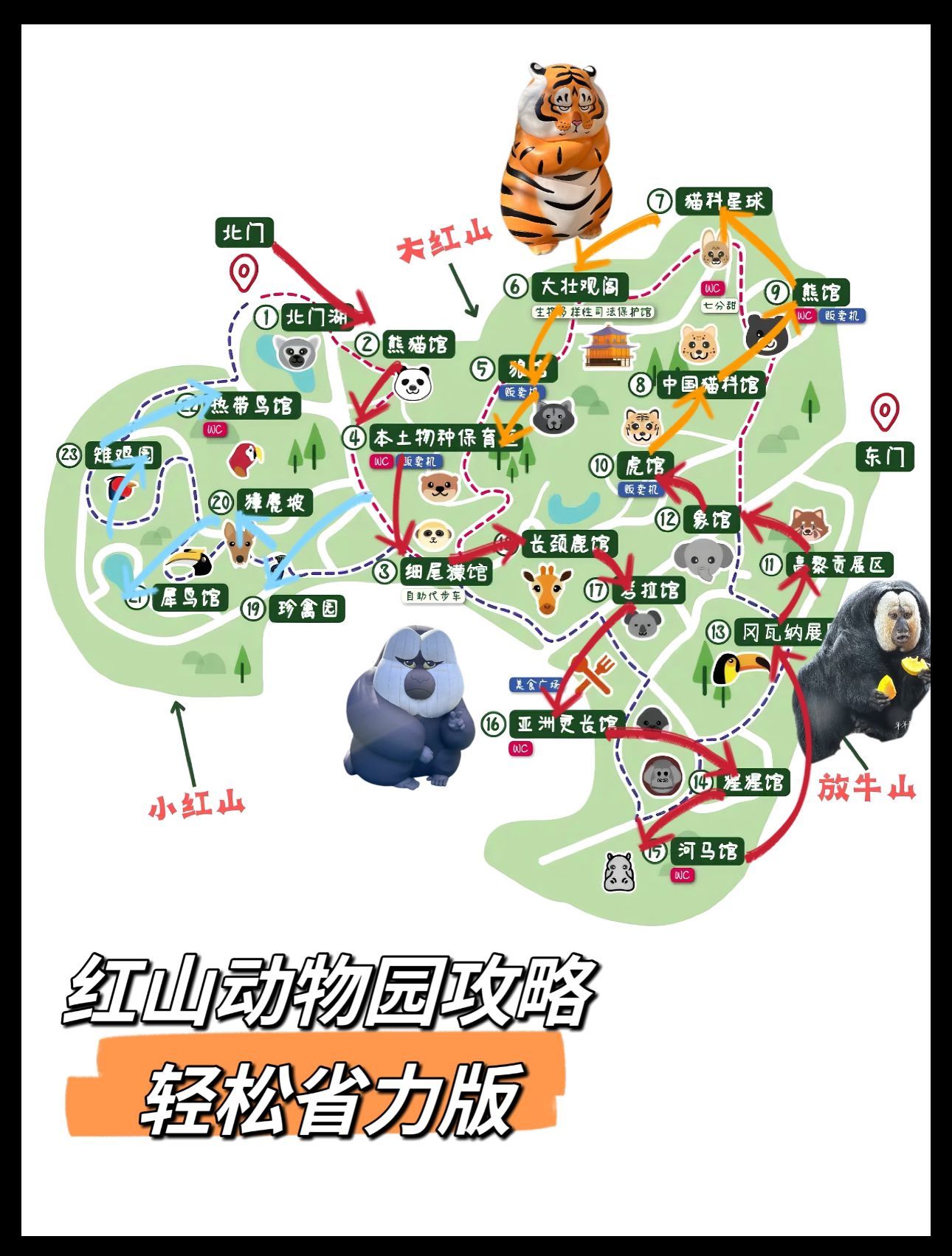 南京红山动物园东门游玩攻略!