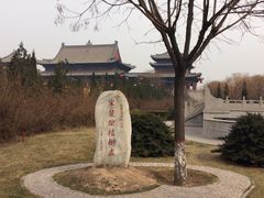 -大槐树寻根祭祖园