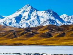 -比尔奇(工业园区店)