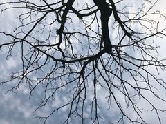 -杭州城北体育公园