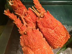 -索菲特酒店·海鲜自助 ·聚餐厅