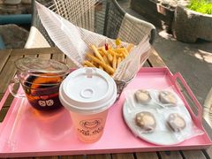 -喵屿·大理花园猫咖