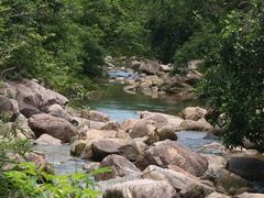 -广州白江湖森林公园