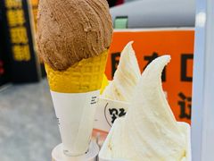 -野人先生现做冰淇淋(西安赛格店)