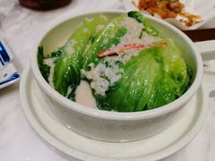 -点都德·毕德寮